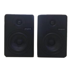 Flat Speaker Recording Tech RT-5 Studio Monitor
